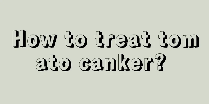 How to treat tomato canker? 