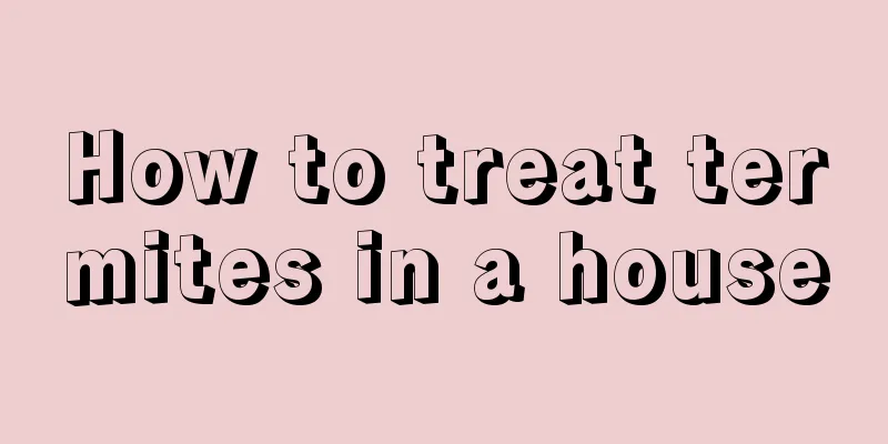 How to treat termites in a house