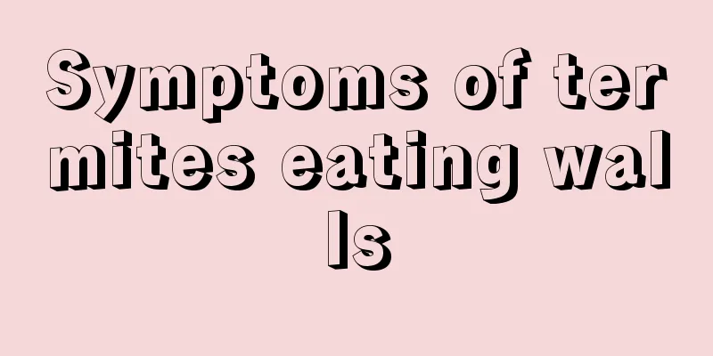 Symptoms of termites eating walls