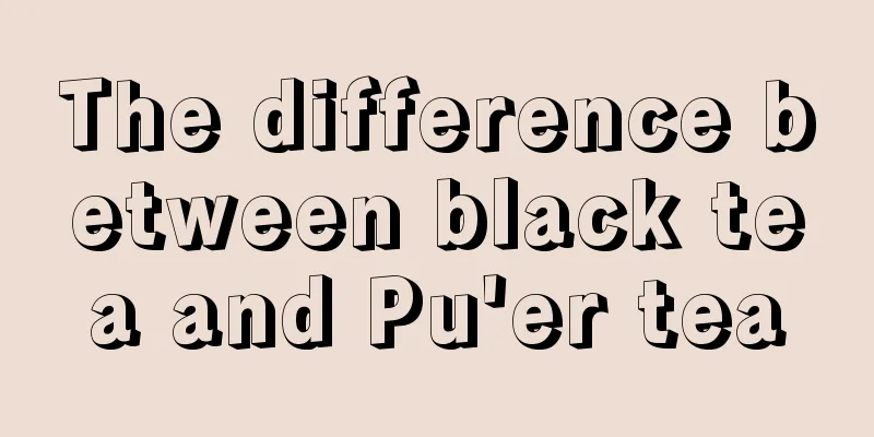 The difference between black tea and Pu'er tea