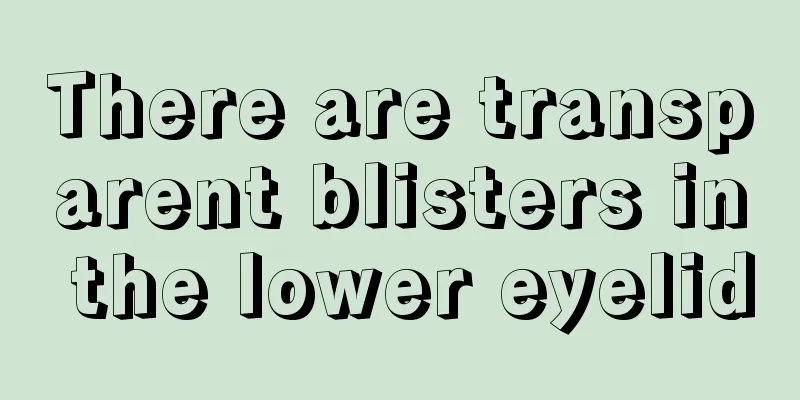 There are transparent blisters in the lower eyelid