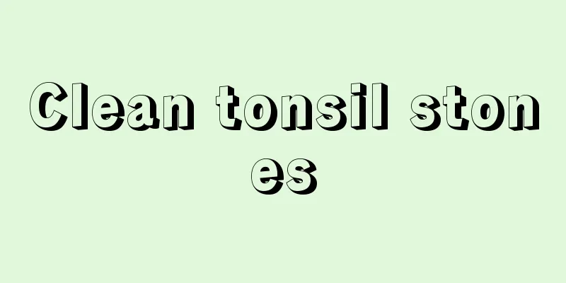 Clean tonsil stones