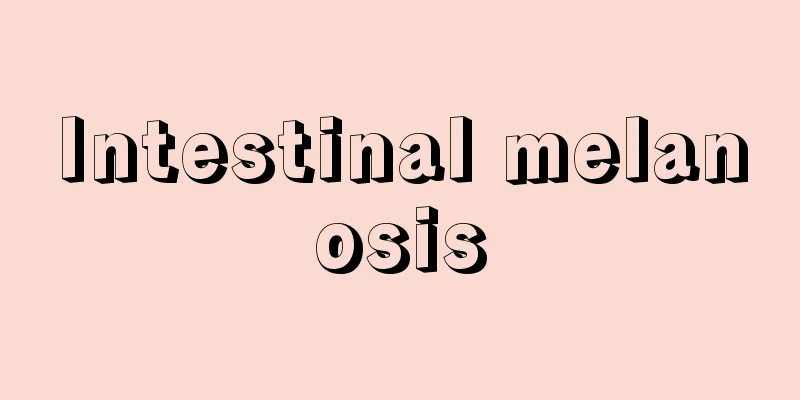 Intestinal melanosis