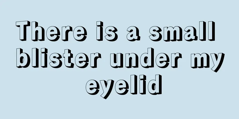 There is a small blister under my eyelid
