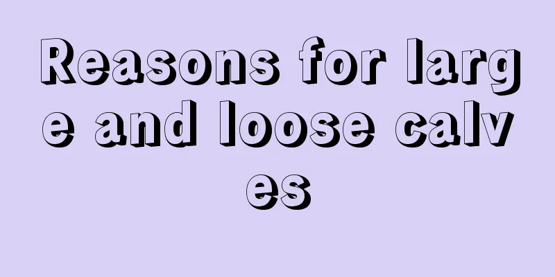 Reasons for large and loose calves