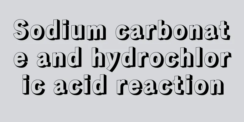 Sodium carbonate and hydrochloric acid reaction