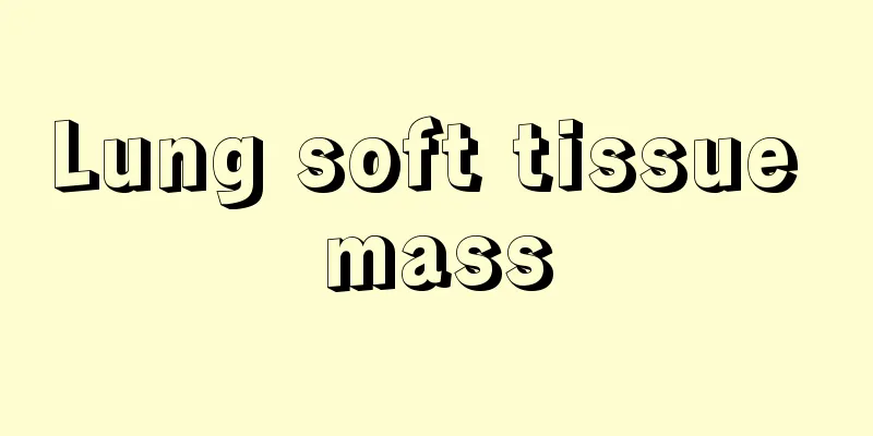 Lung soft tissue mass