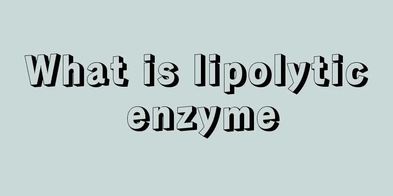 What is lipolytic enzyme
