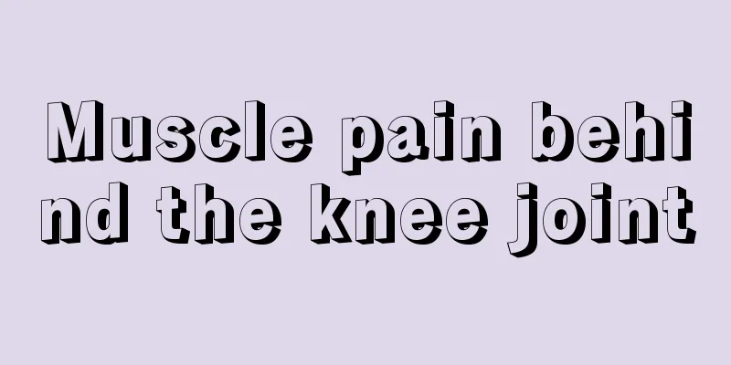 Muscle pain behind the knee joint