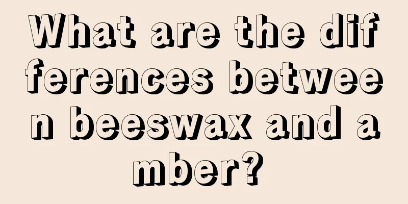 What are the differences between beeswax and amber? 