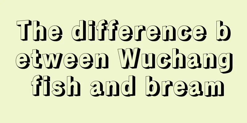 The difference between Wuchang fish and bream