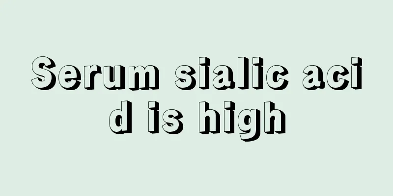 Serum sialic acid is high