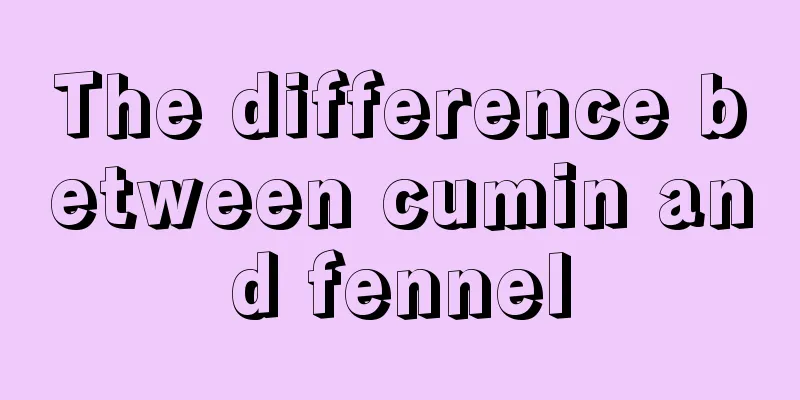 The difference between cumin and fennel