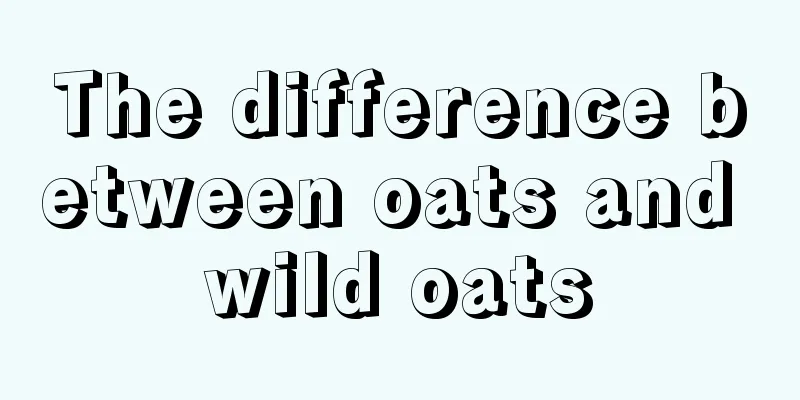 The difference between oats and wild oats