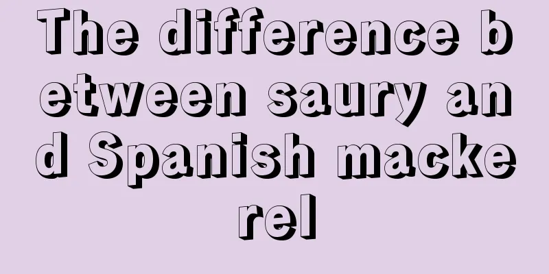 The difference between saury and Spanish mackerel