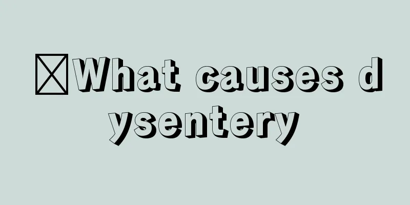 ​What causes dysentery