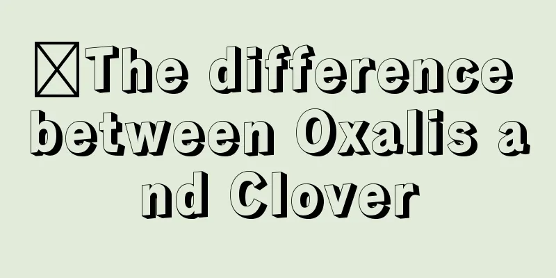 ​The difference between Oxalis and Clover