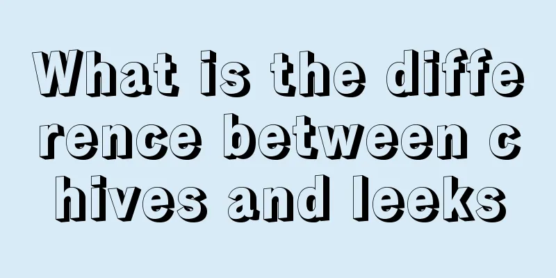 What is the difference between chives and leeks