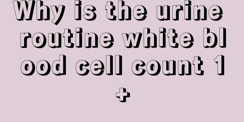 Why is the urine routine white blood cell count 1+