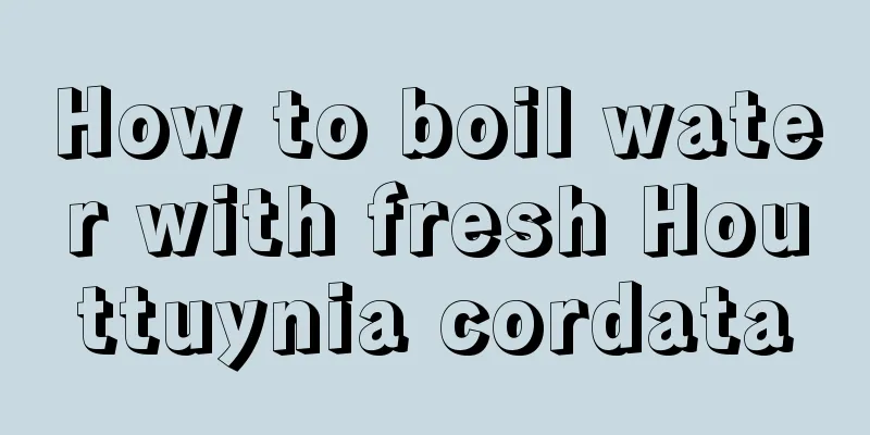 How to boil water with fresh Houttuynia cordata