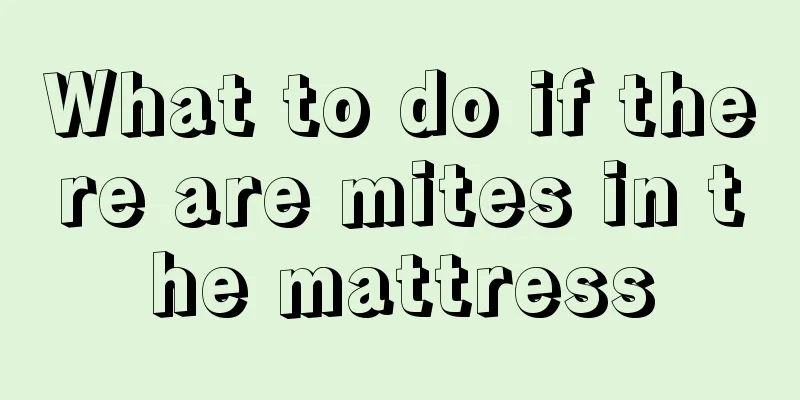 What to do if there are mites in the mattress
