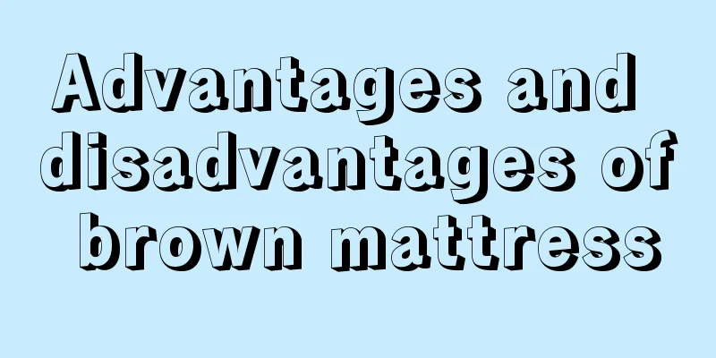 Advantages and disadvantages of brown mattress
