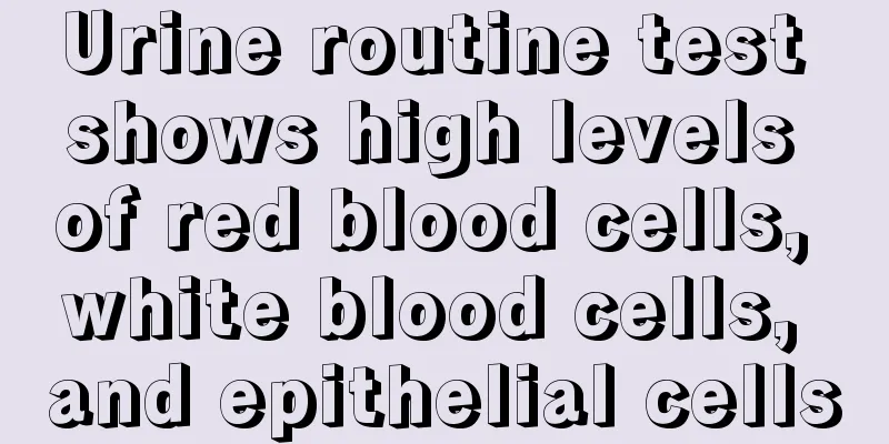 Urine routine test shows high levels of red blood cells, white blood cells, and epithelial cells