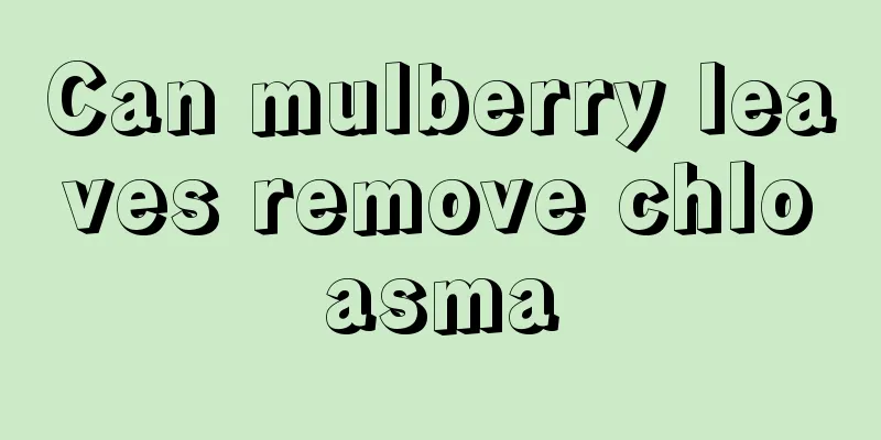 Can mulberry leaves remove chloasma