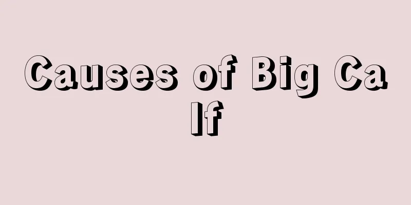 Causes of Big Calf