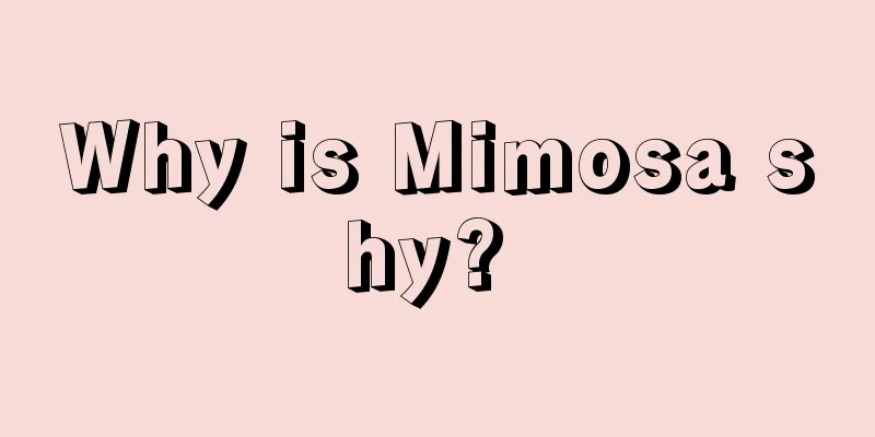 Why is Mimosa shy? 