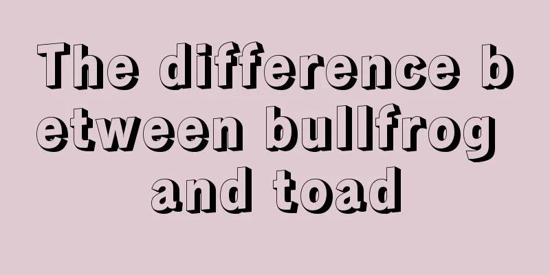 The difference between bullfrog and toad