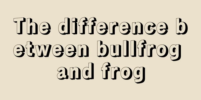 The difference between bullfrog and frog