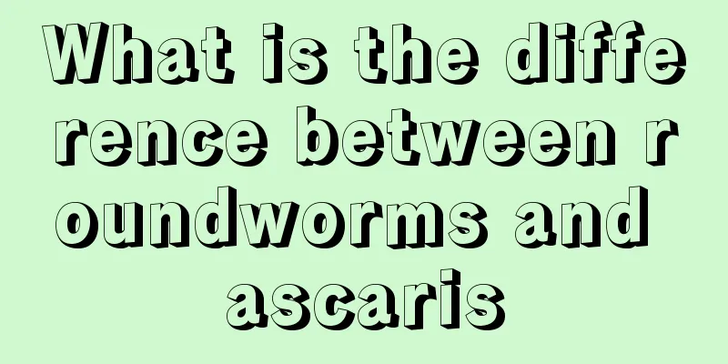 What is the difference between roundworms and ascaris