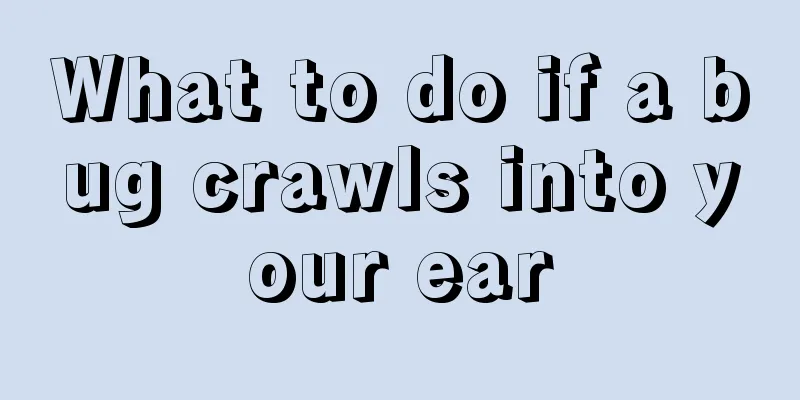 What to do if a bug crawls into your ear