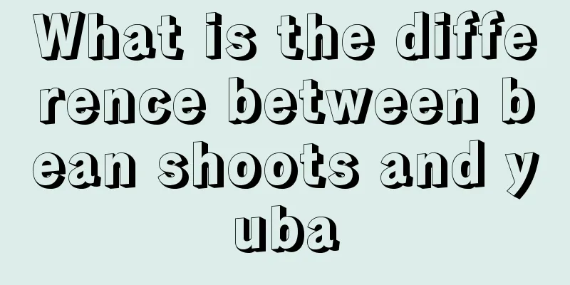 What is the difference between bean shoots and yuba
