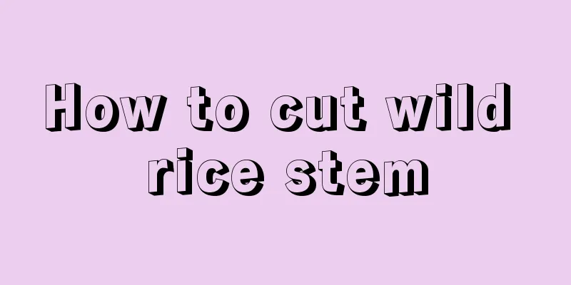 How to cut wild rice stem