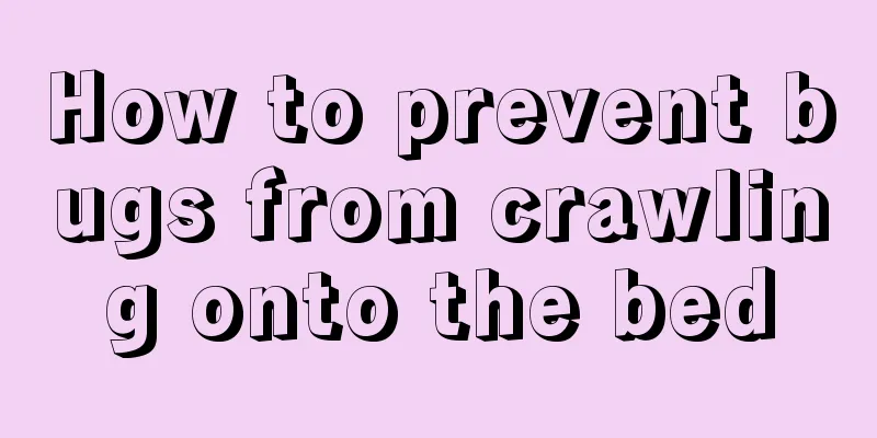 How to prevent bugs from crawling onto the bed
