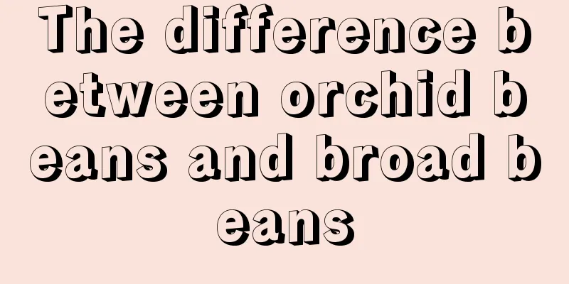 The difference between orchid beans and broad beans