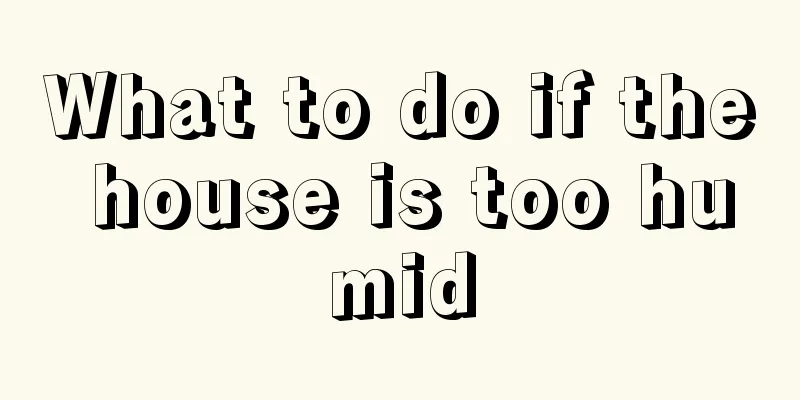 What to do if the house is too humid