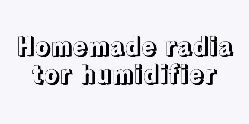 Homemade radiator humidifier