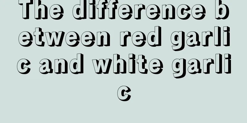 The difference between red garlic and white garlic