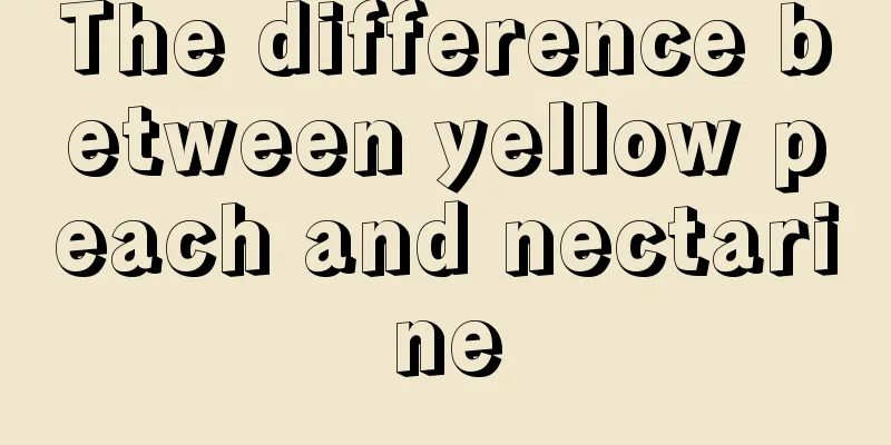 The difference between yellow peach and nectarine
