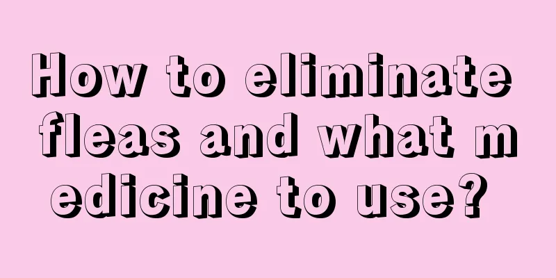 How to eliminate fleas and what medicine to use? 