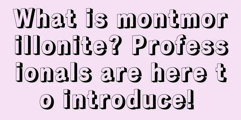 What is montmorillonite? Professionals are here to introduce! 