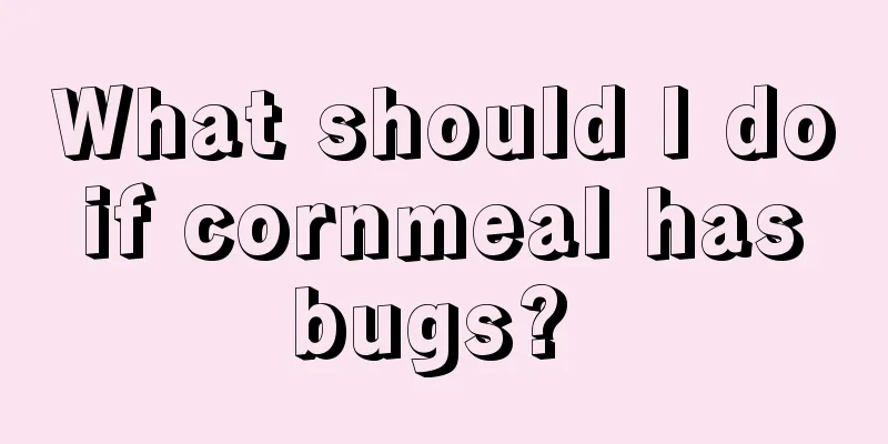 What should I do if cornmeal has bugs? 