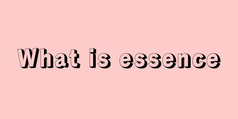What is essence
