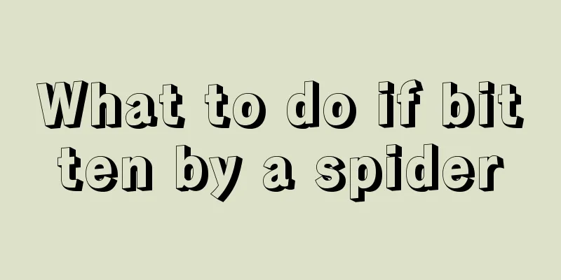 What to do if bitten by a spider