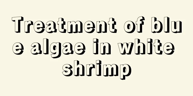 Treatment of blue algae in white shrimp