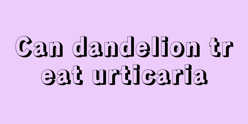 Can dandelion treat urticaria
