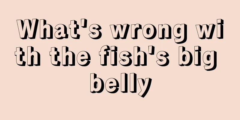 What's wrong with the fish's big belly